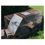 Large Live Trap