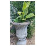 Large Concrete Urn Planter w/Cleome & Canna Lily