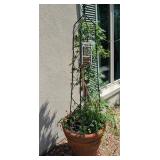Terra Cotta Planter w/Plant Cage & Decor