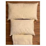 Peacock Alley Blanket & 2 Feather Pillows