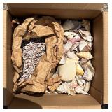 Box of Sea Shells