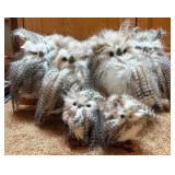 Lot Of 6 Grey Owls