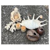 Decorative Shells, Candles, Corral