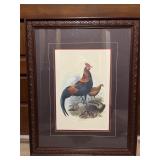 Lithograph Titled "Red Jungle-Fowl" 23.5" x 29.5"