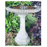 Bird Bath