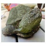 Cement Garden Turtle