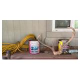 Yellow Electrical Cord, Paint, Antlers