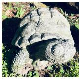 Cement Outdoor Turtle