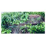 Metal Oval Planter
