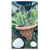 4 Garden Items