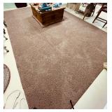 Tan Area Rug