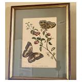 Framed 'Cerasa Americana' Botanical Print