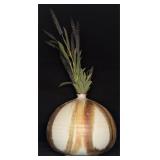 Studio Art Pottery Stoneware Vase