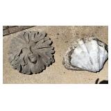 Concrete Lady of The Forest Step/Shell