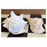 2 Seashells