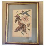 Framed 'Ktenia Aegyptiaca' Botanical Print
