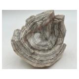 Stromatolite Fossil or Organic Structure