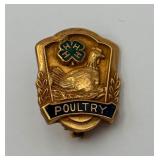 10K Gold Filled Poultry Pin
