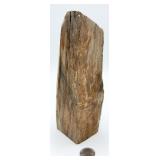 Arizona Petrified Wood Bookend