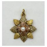 10K Gold & Black Hills Gold Leaf & Grape Pendant