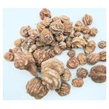 Lot of Desert Rose Rocks