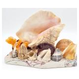 VTG HD Multi-Shell Coastal Centerpiece Display