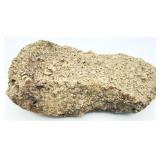 Crinoidal Limestone