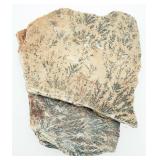 Manganese Dendrites