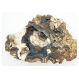 Botryoidal Agate Geode