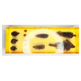 VTG Acrylic Block Embedded w/ Mini Pinecones