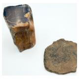 Petrified Wood & Unknown Fossil??