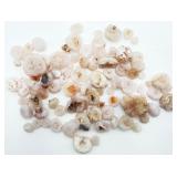 Chalcedony Desert Rose Lot