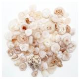 Chalcedony Desert Rose Lot
