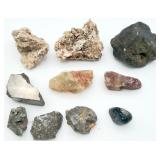 Mixed Rocks & Petrified Wood Lot