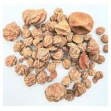 Lot of Desert Rose Rocks