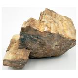 Petrified Wood