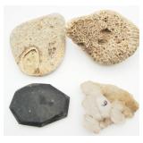4 Mix Rock & Fossil Lot