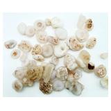 Chalcedony Desert Rose Lot