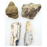 2 Petrified Wood & 2 Fossils