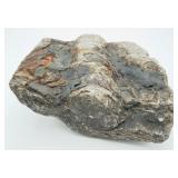 Fossilized Bone Matrix