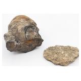 2 Rocks/Fossils