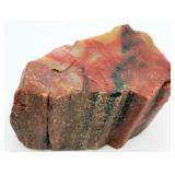 Arizona Rainbow Petrified Wood