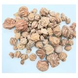 Lot of Desert Rose Rocks
