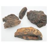 Unknown Fossil Pieces