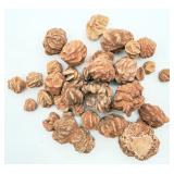 Lot of Desert Rose Rocks