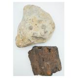 2 Fossils
