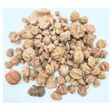 Lot of Desert Rose Rocks