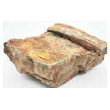 Calamities Stem Cast Fossil