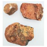 2 Fossils & Chalcedony