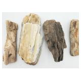 Multiple Petrified Wood